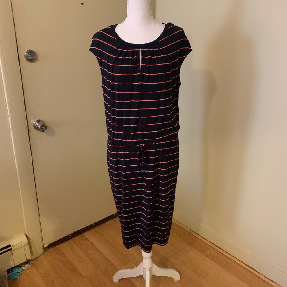 Banana Republic Comfy Navy and Coral Stripe Dress